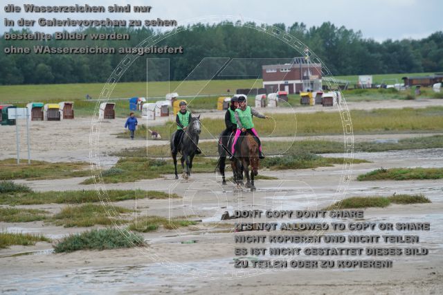 s_K3F04910.JPG